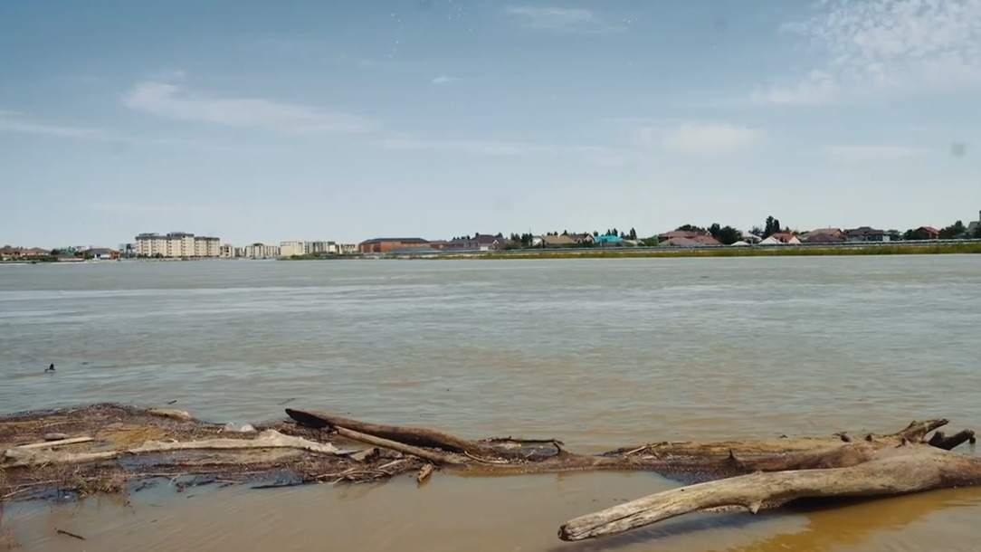 Реку Жайык чистят от мусора и деревьев0