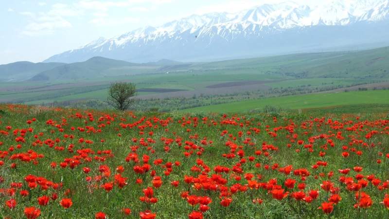 Сайрам-Угамский национальный парк