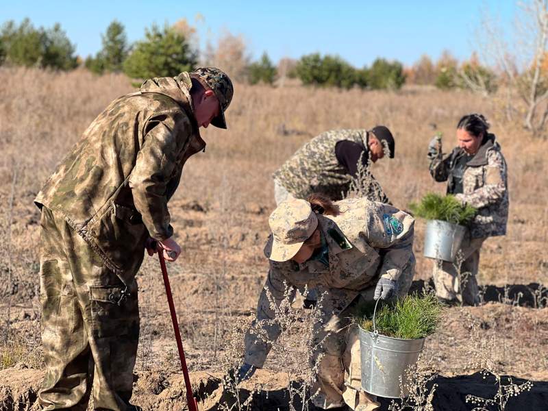 «Ертіс орманы» резерваты