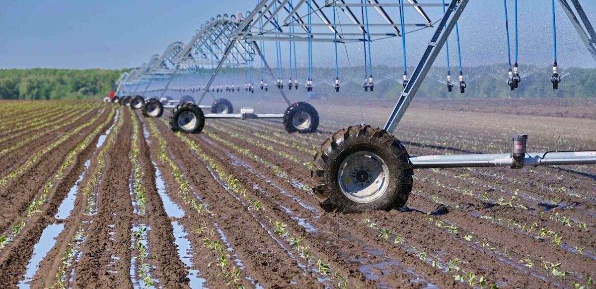 Тарифы на поливную воду завышали в Алматинской области0