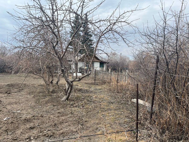 Свое с грядки: выгодно ли содержать дачу в Павлодарской области Свое с грядки: выгодно ли содержать дачу в Павлодарской области