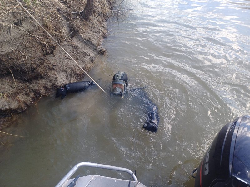 поиски поиски