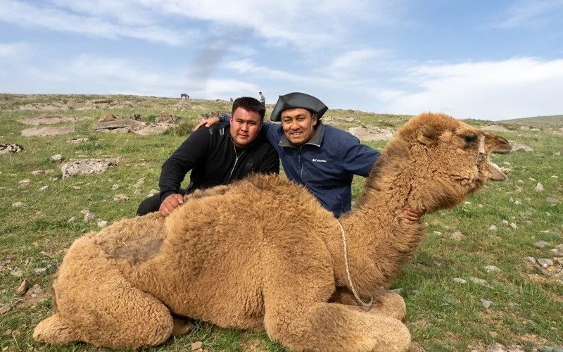 туркестанский силач туркестанский силач