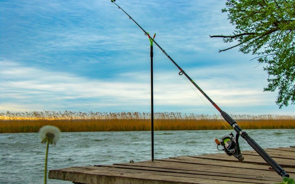 Запрет на рыболовство в Акмолинской области: озвучены сроки и виды рыб