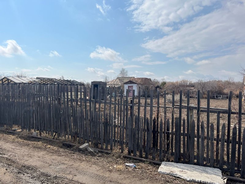 Свое с грядки: выгодно ли содержать дачу в Павлодарской области Свое с грядки: выгодно ли содержать дачу в Павлодарской области