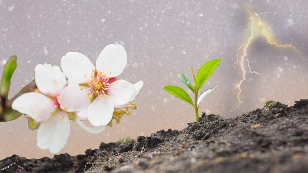 Народная метеорология: что означают Бесқонақ, Құралайдың салқыны и кнут Хизира