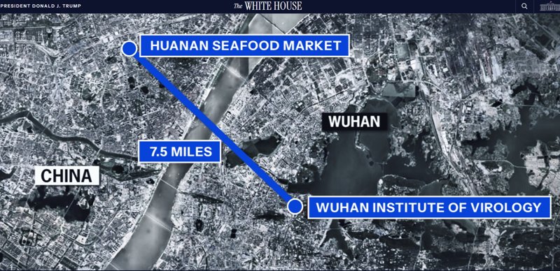 Белый дом открыл веб-страницу об «истинном происхождении» коронавируса Белый дом открыл веб-страницу об «истинном происхождении» коронавируса