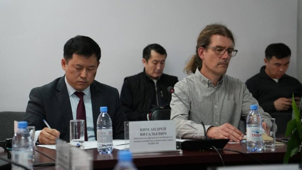 Оптимальная численность сайгаков, вероятно, выше, чем предполагается — эксперт из Германии