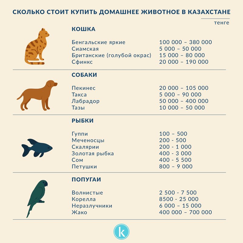 Сколько стоят домашние животные в городах Казахстана Сколько стоят домашние животные в городах Казахстана