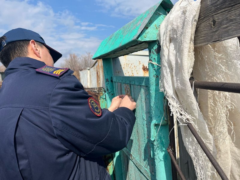 Свое с грядки: выгодно ли содержать дачу в Павлодарской области Свое с грядки: выгодно ли содержать дачу в Павлодарской области