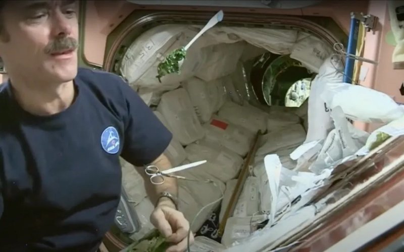 выращивать еду на орбите планирует Европейское космическое агентство выращивать еду на орбите планирует Европейское космическое агентство