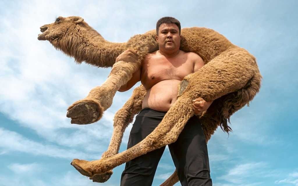 В Туркестанской области живёт силач, поднимающий верблюдов