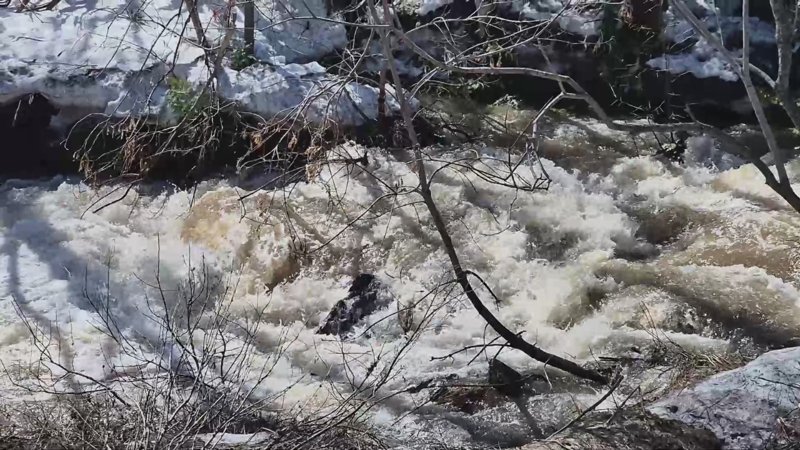 Участок трассы Усть-Каменогорск – Алтай размыт: движение ограничено п