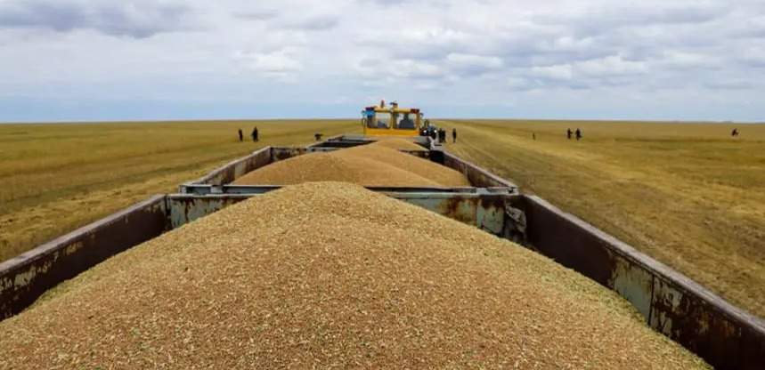 Россия сняла запрет на ввоз пшеницы из Казахстана