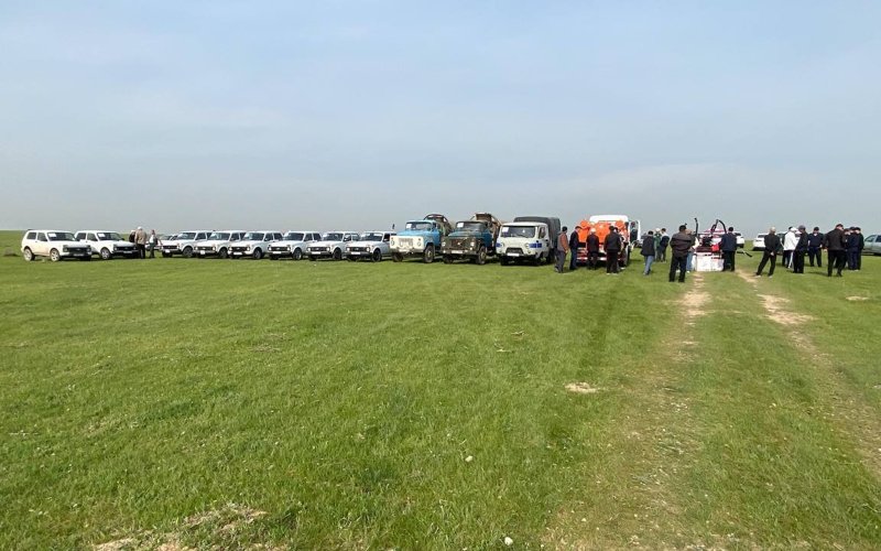 В Туркестанской и Жамбылской областях начались подготовительные работы по борьбе с саранчой