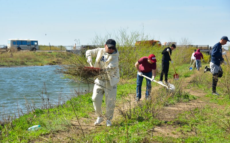 субботник субботник
