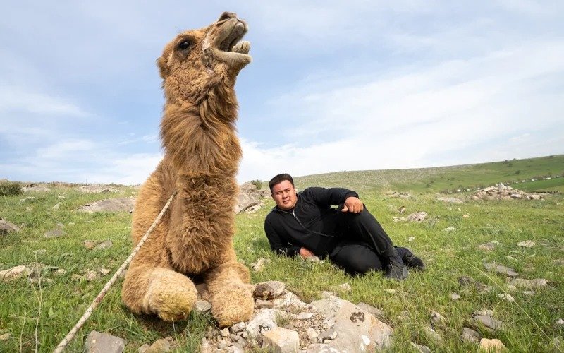 туркестанский силач туркестанский силач