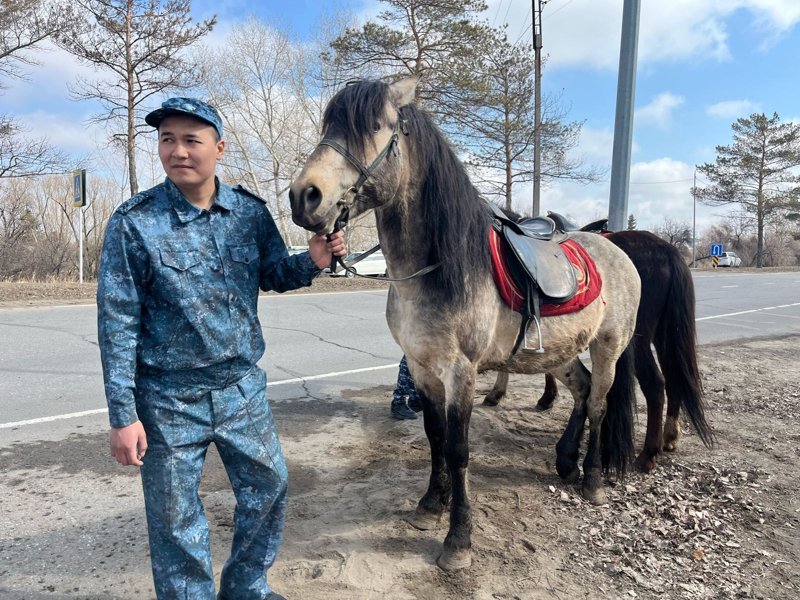 Свое с грядки: выгодно ли содержать дачу в Павлодарской области Свое с грядки: выгодно ли содержать дачу в Павлодарской области