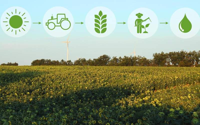 климатические изменения климатические изменения