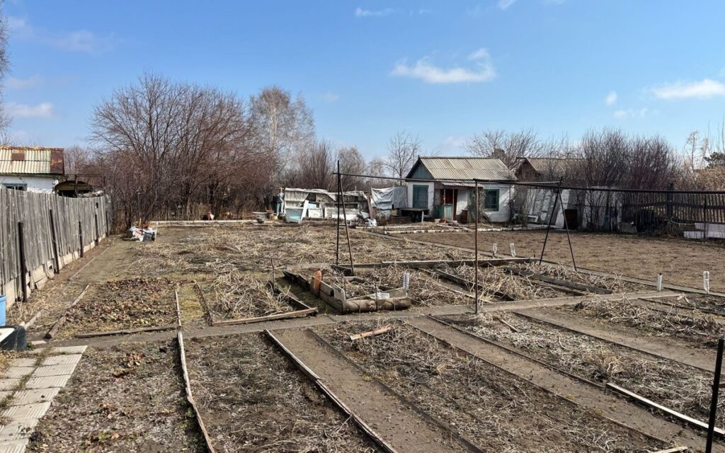 Свое с грядки: выгодно ли содержать дачу в Павлодарской области