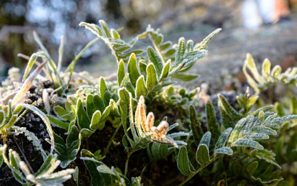 Дожди и заморозки: штормовое предупреждение объявили в 10 областях Казахстана
