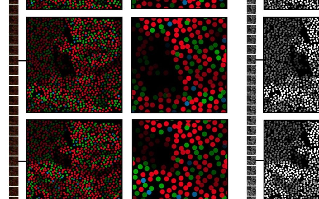 Ученые открыли новый цвет