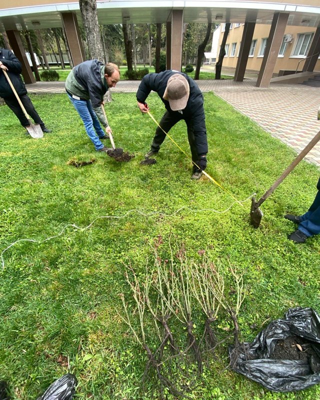 Озеленитель Насими Гусейнов