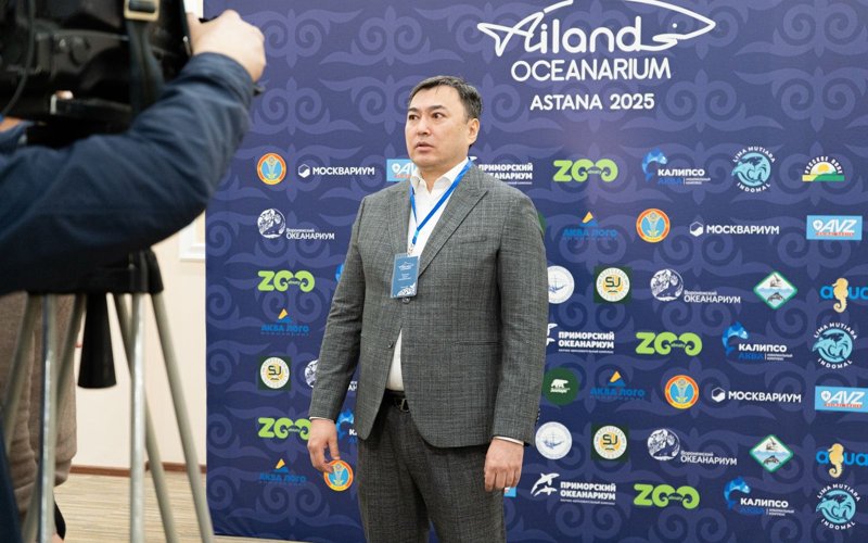 Директор ТОО &laquo;Ailand Astana&raquo; Маханов Арман Шихабадинович