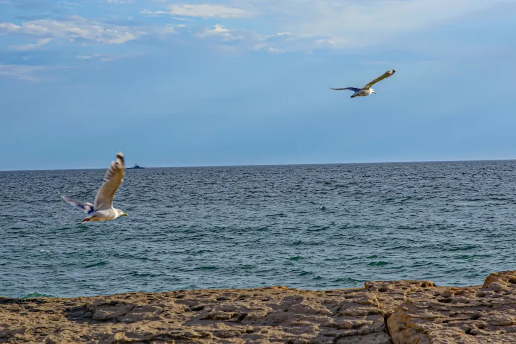 Арал мен Каспий теңіздерінің экологиялық проблемасын халықаралық деңгейде шешу қажет