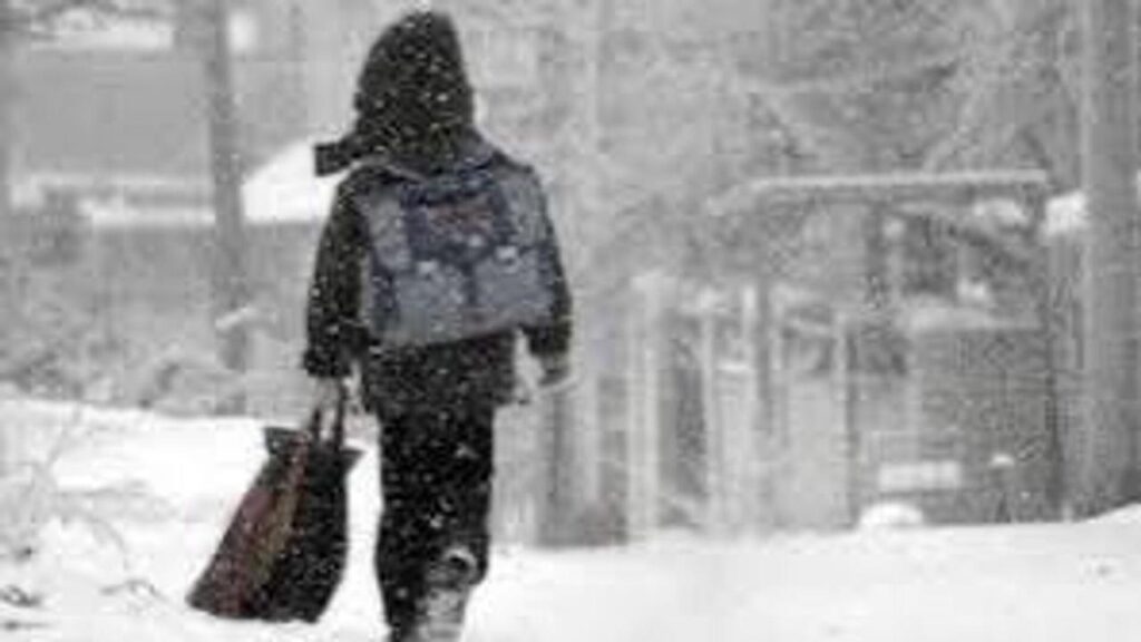 Непогода: учащиеся до 6 класса столичных школ перешли на дистанционку