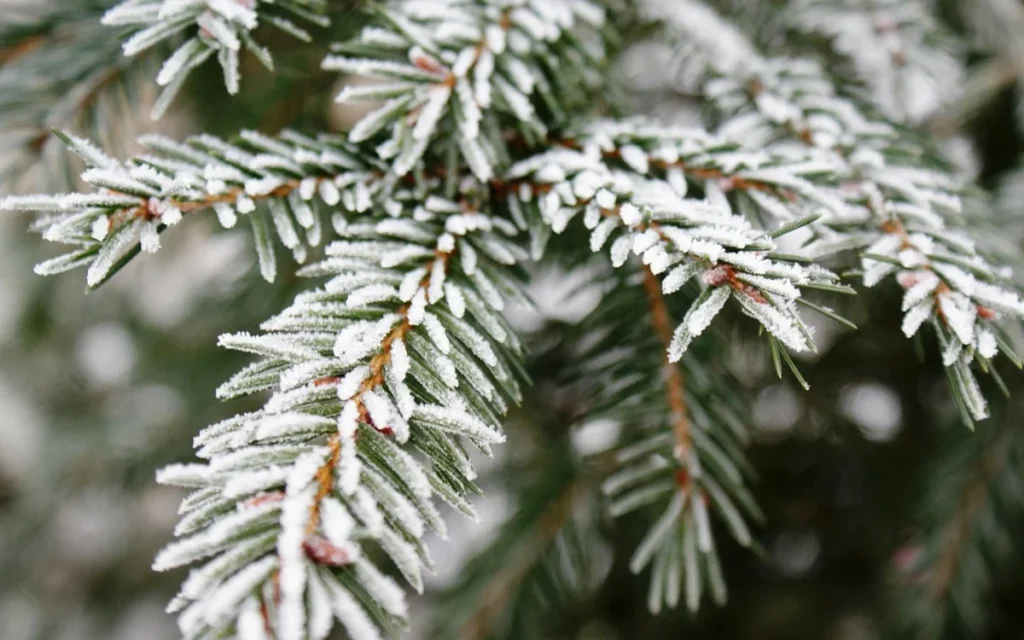 Ауа райына байланысты еліміздің 14 өңірінде ескерту жарияланды